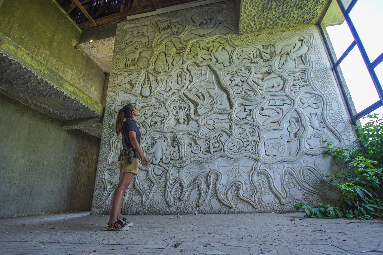 Мальовничі степи, скелі та каньйони: найкращі локації півдня України для теплої осінньої мандрівки